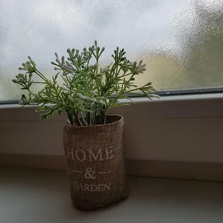 Termal Apartman *