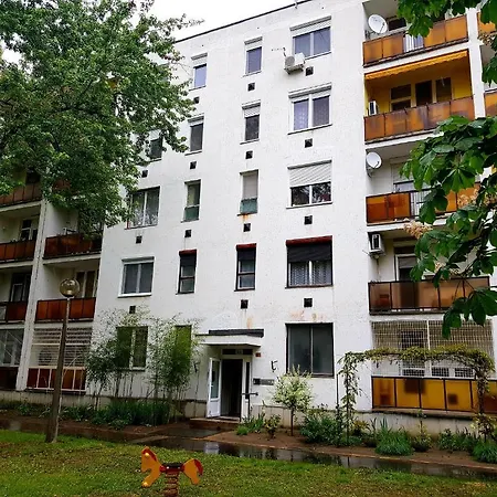 Termal Apartman *